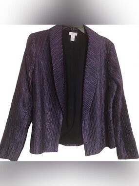 Chico’s Eggplant Purple Crinkle Fabric Blazer Jacket size 1 (8)